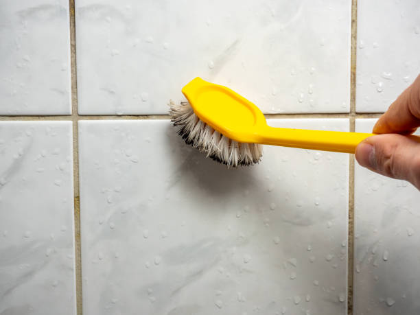 Best Mold Remediation for Specific Building Types in Huron, CA